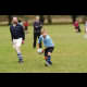 image 38 of 51